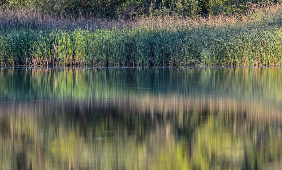 North Sierra Pond II & Repost