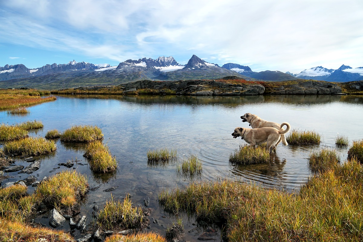 High Altitude wading