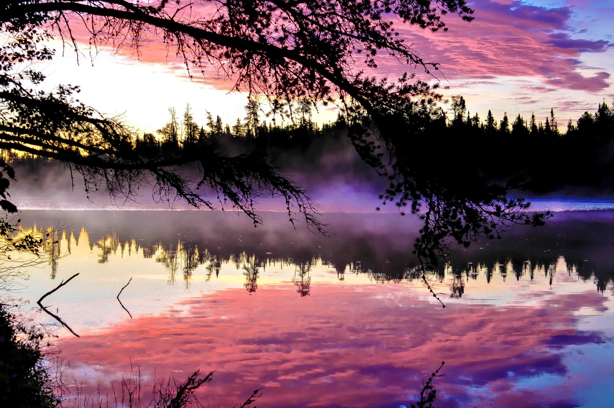 Pink Water