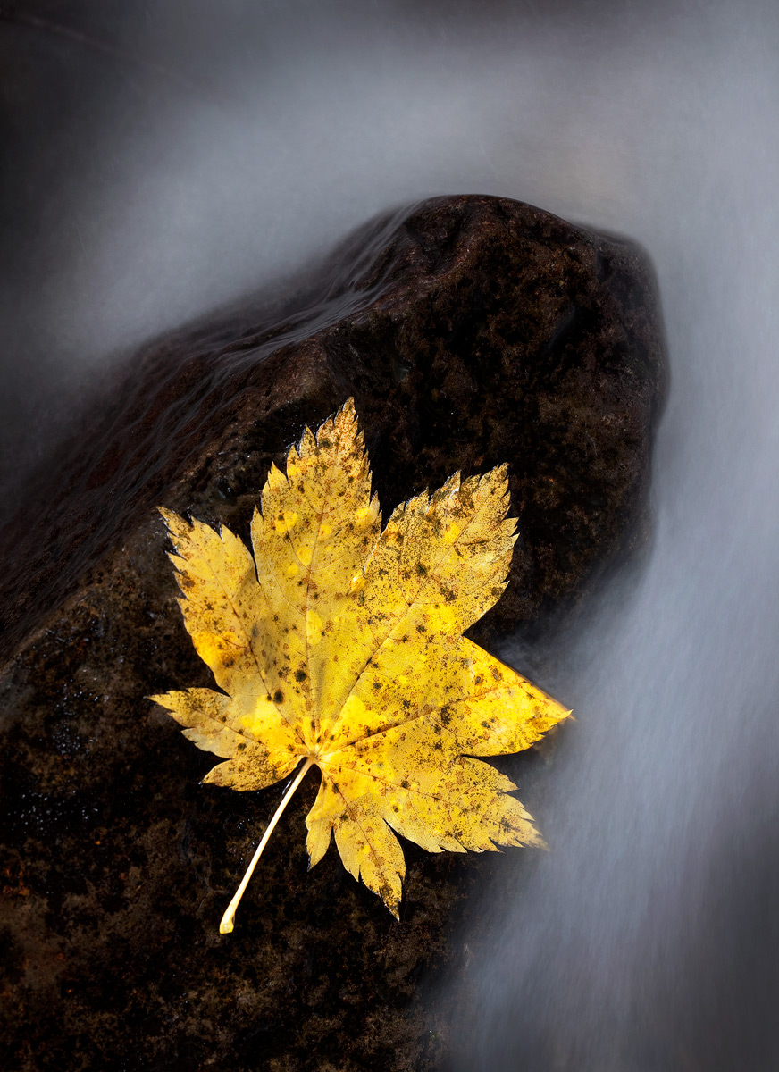 Fall
