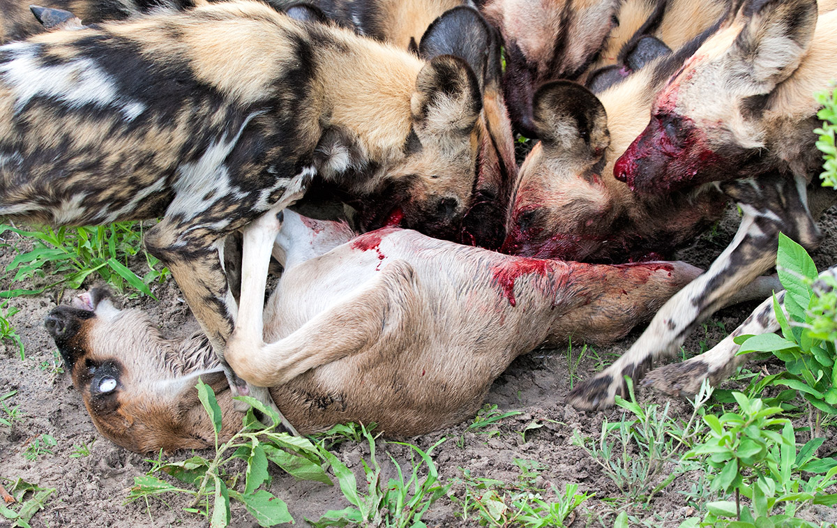 Gruesome!