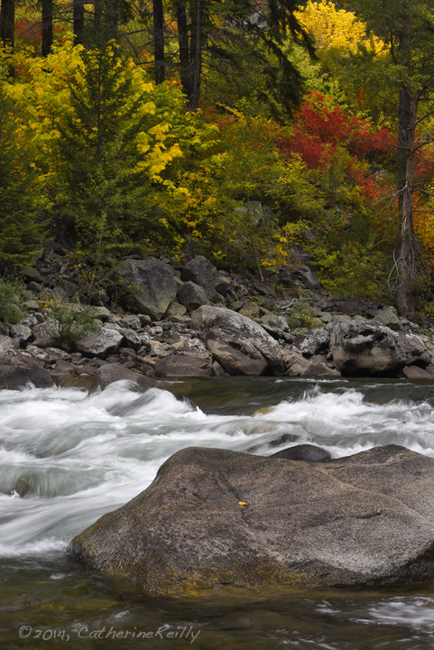 Wenatchee River View