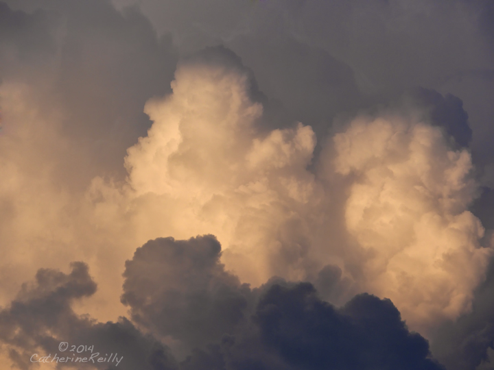 A Wild Sky