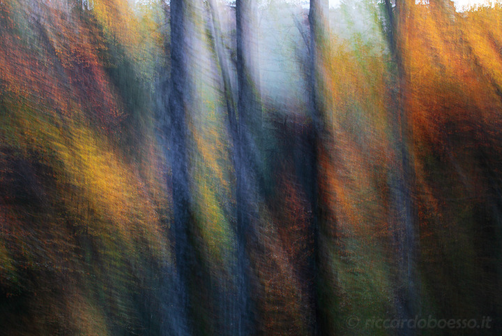 oil on canvas