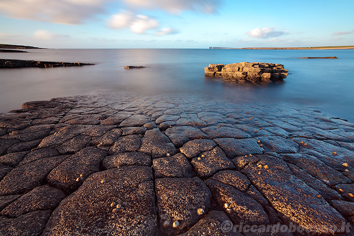 turtle rock