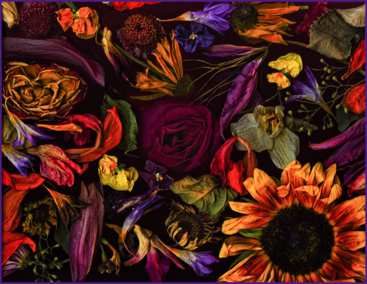 Potpourri