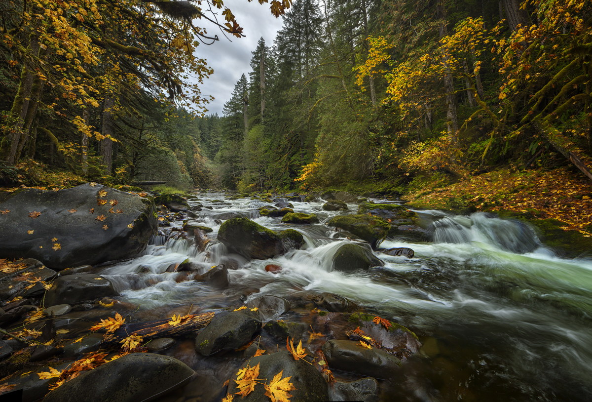 Salmon River, Mt Hood