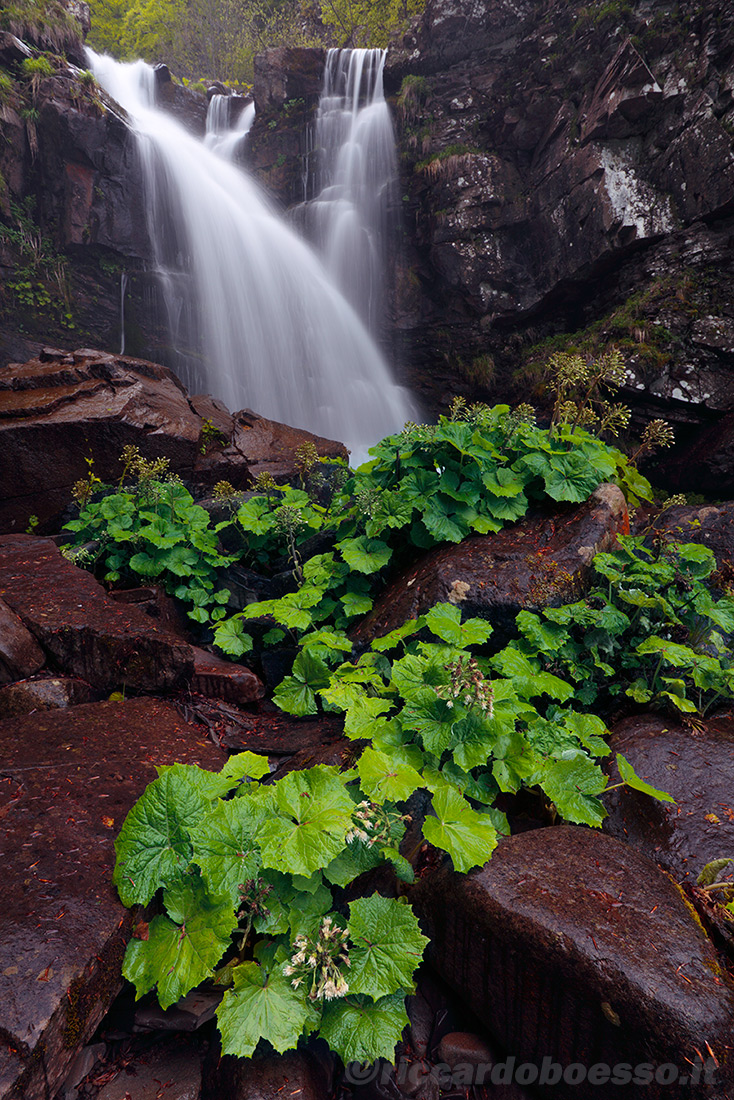 Dardagna falls