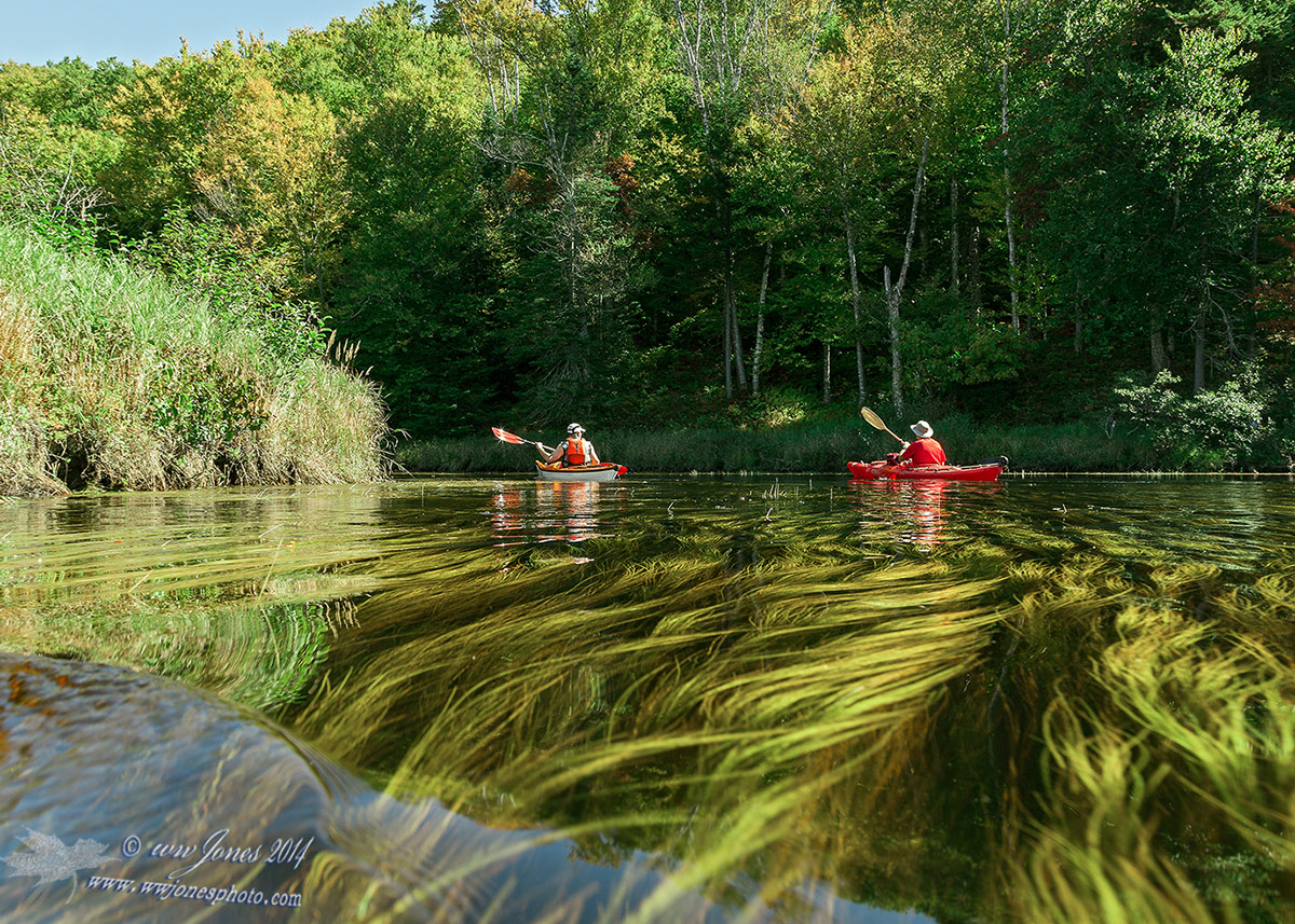 Low Water Paddling