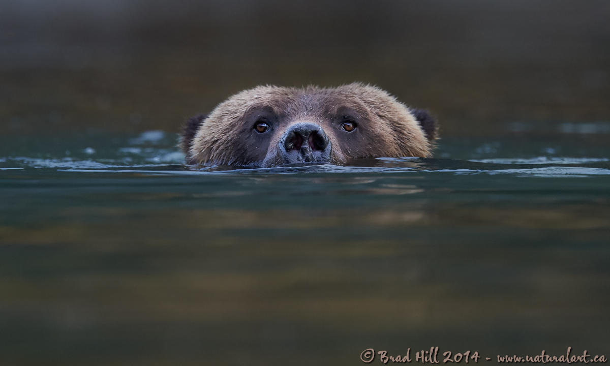 Just Treading Water?