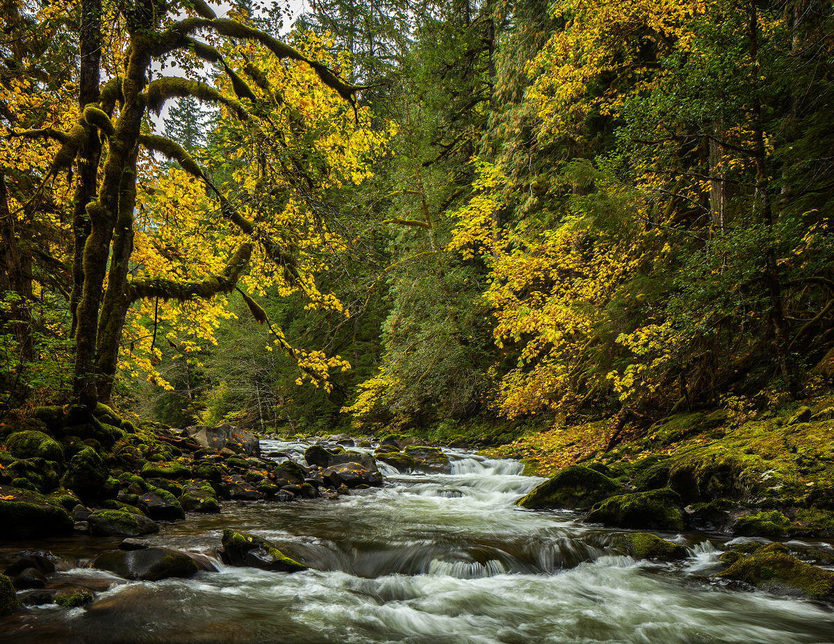 Salmon River #2