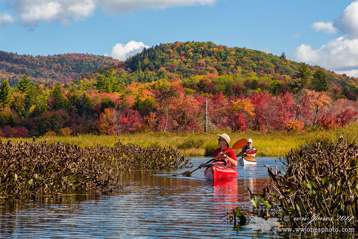Colorful Paddling