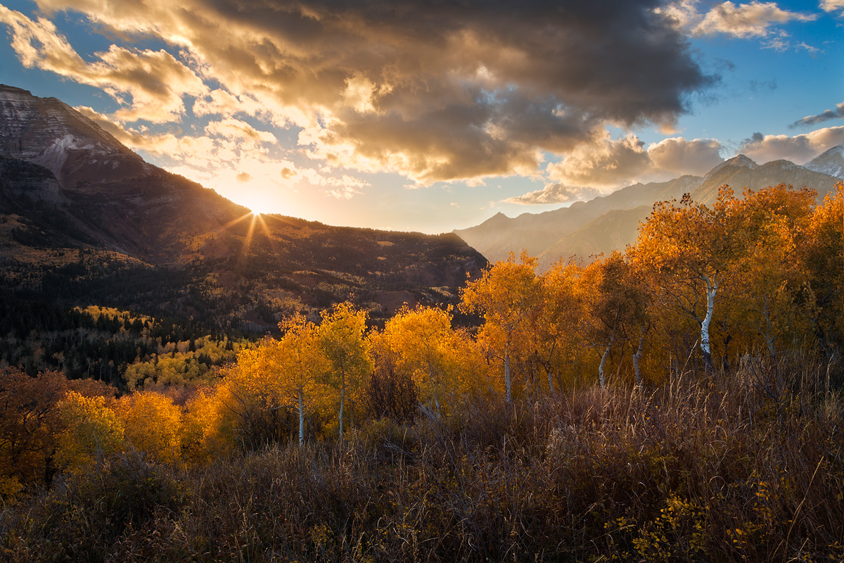 Wasatch Illuminated (+)