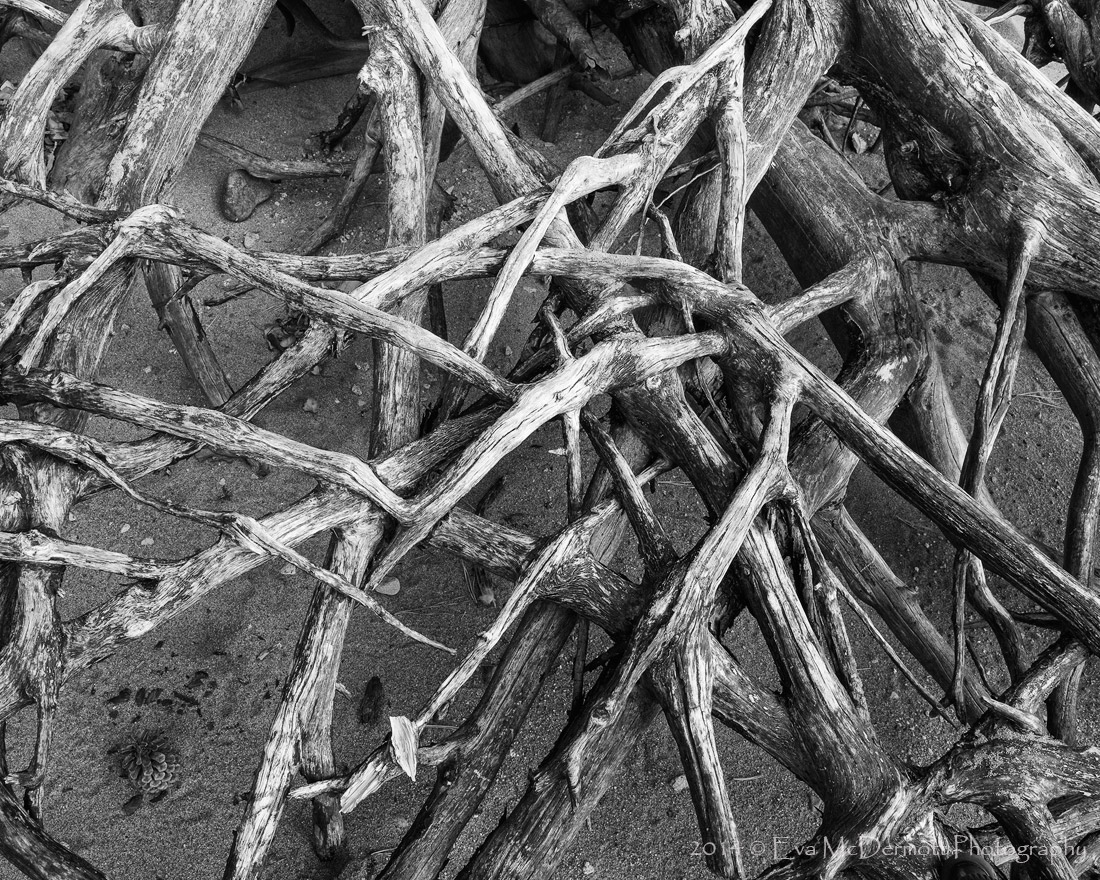 Uprooted 