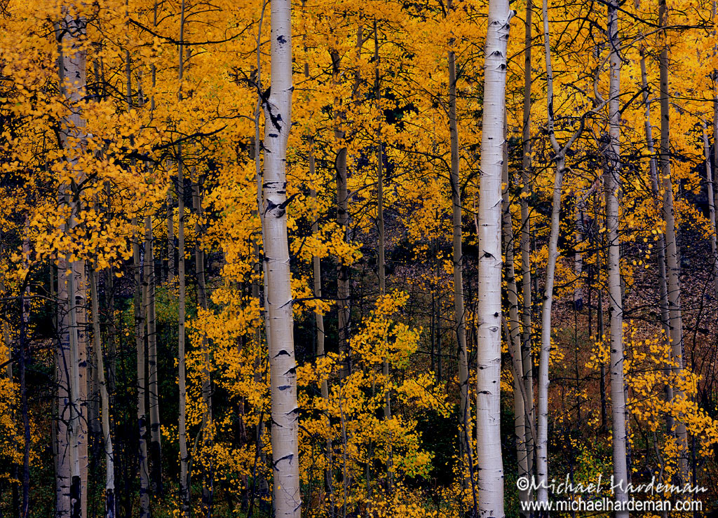 Monarch Pass Colorado