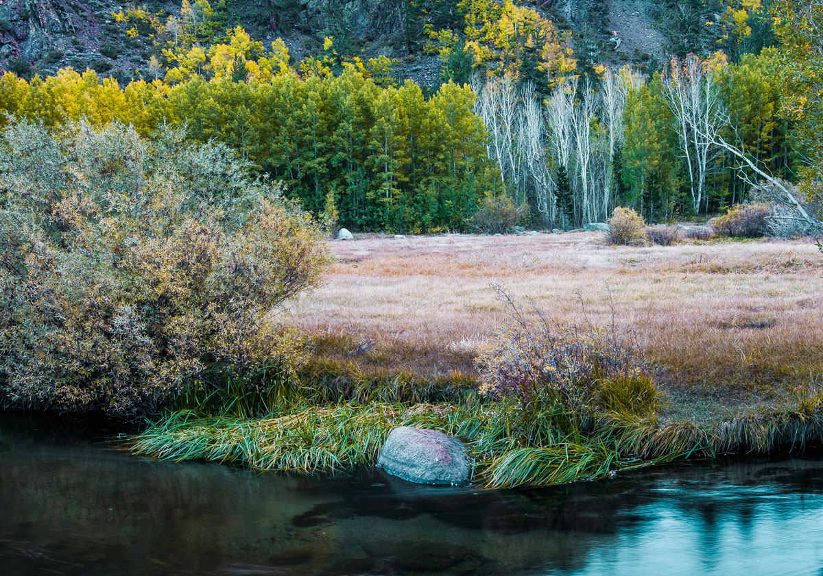 Along Bishop Creek