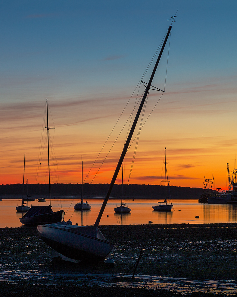 Low Tide in the Harbor
