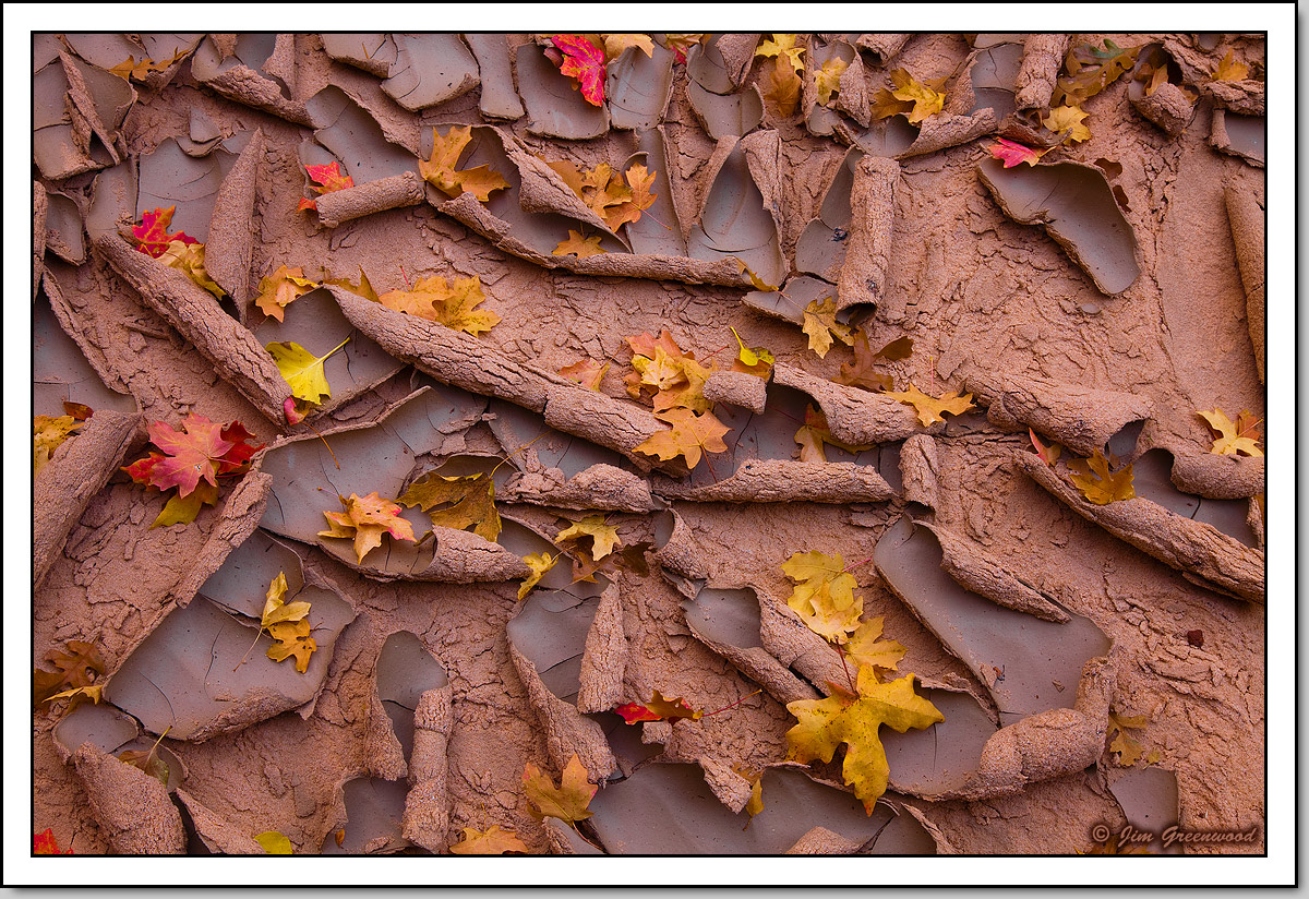 Autumn A-peel