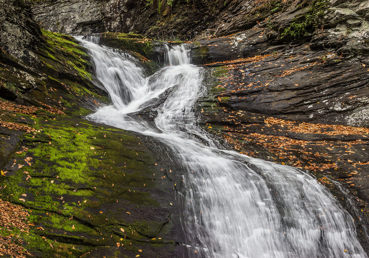 Up a creek.