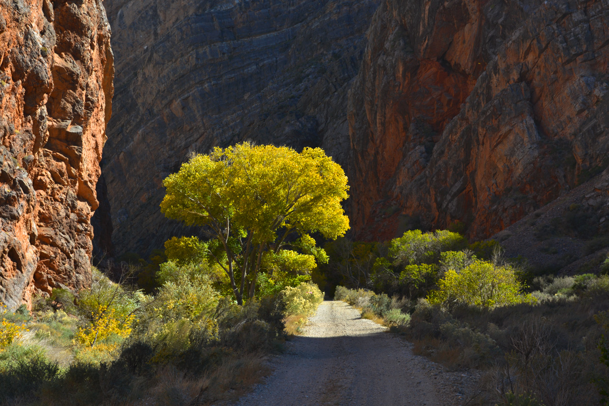 Condor Canyon