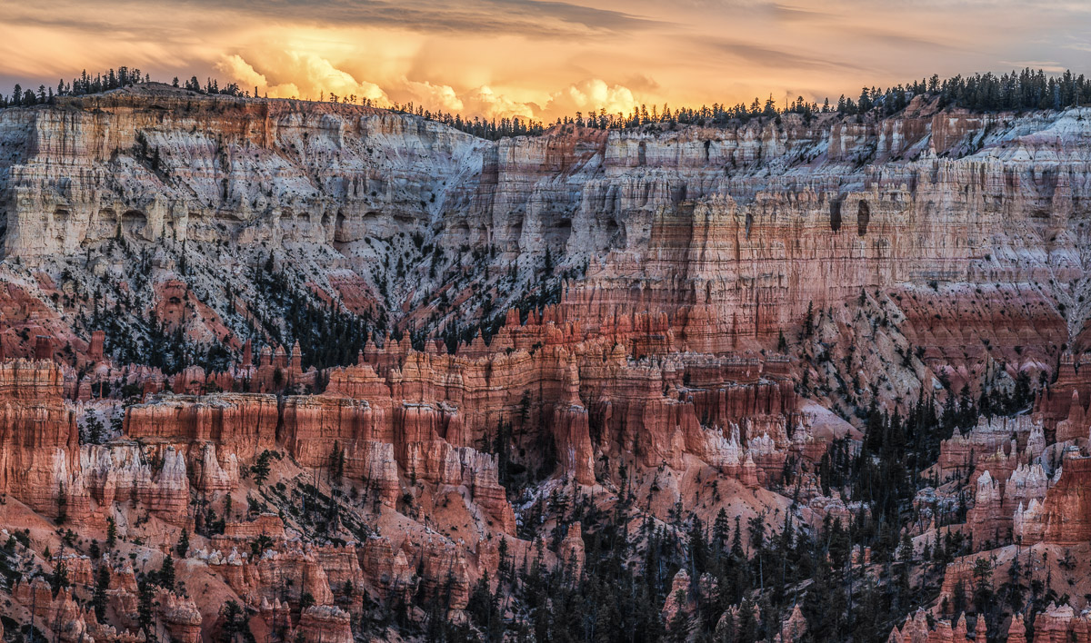 Bryce Twilight + rep