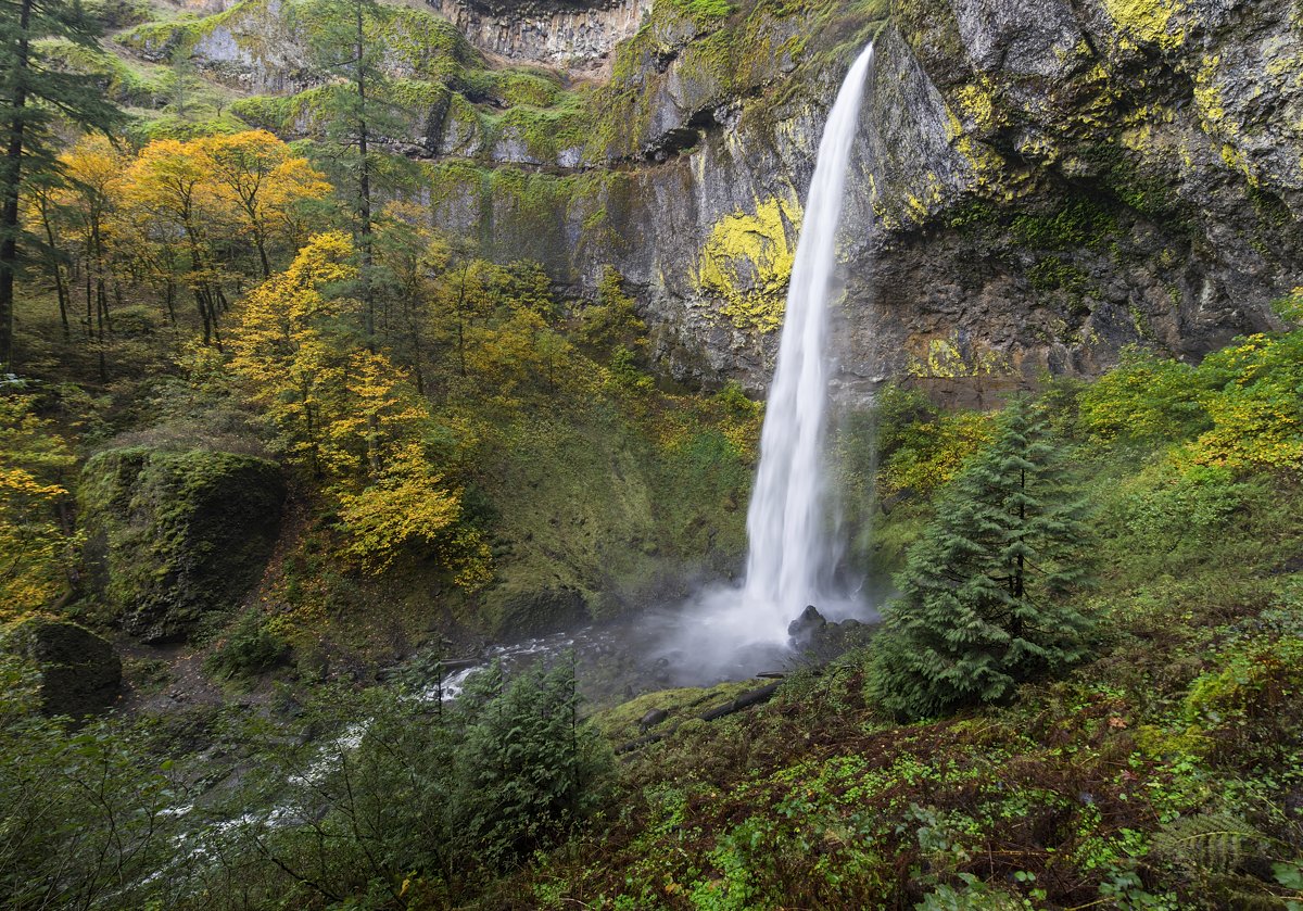 Elowah in Fall
