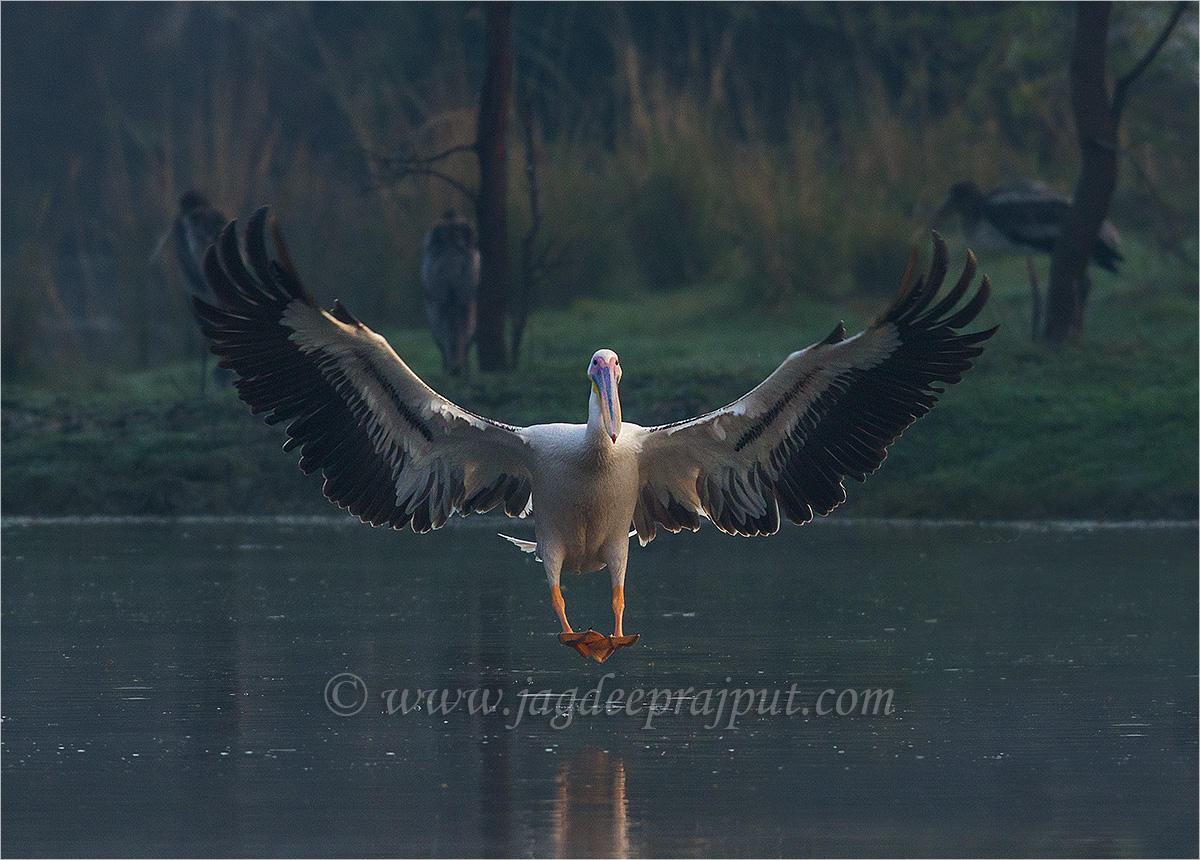 Precise landing