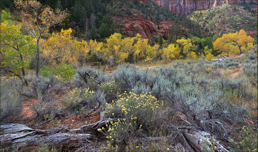Zion Backcountry