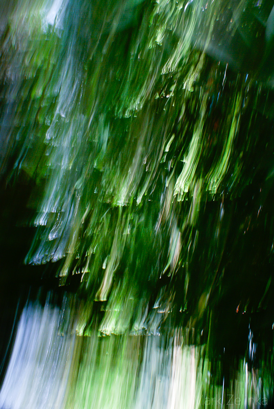 Green torrent