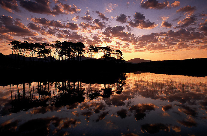 Derryclare Dawn