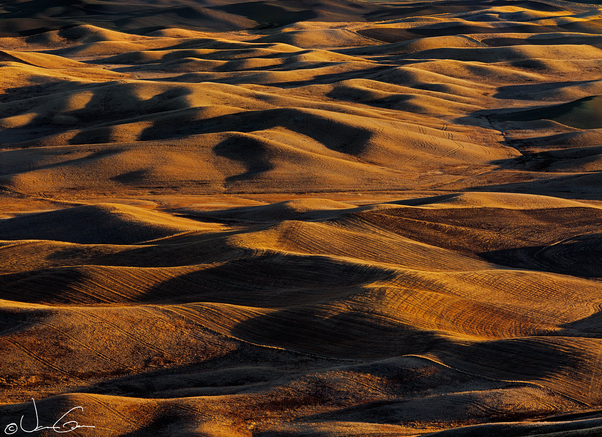 Palouse "Dunes"