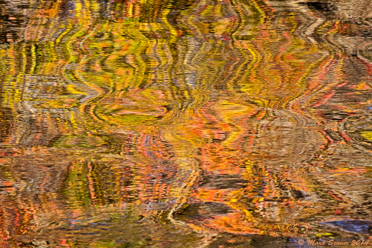 In Reflection