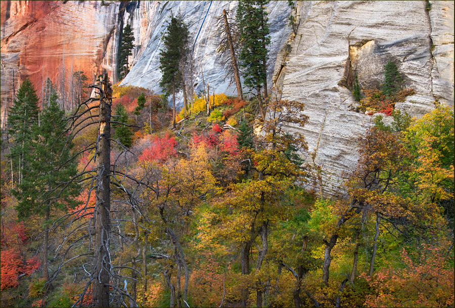 Canyon Passage