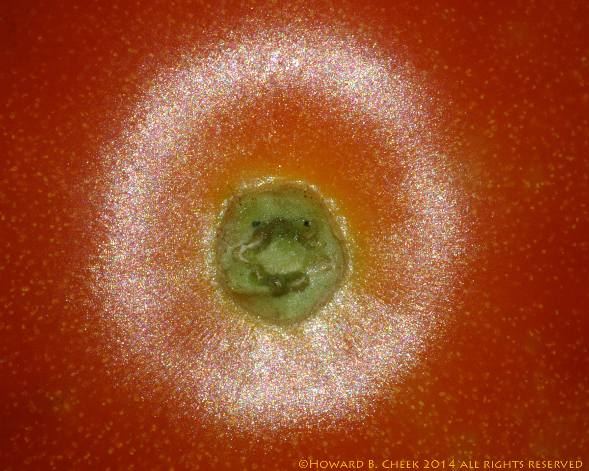 Tomato Clown