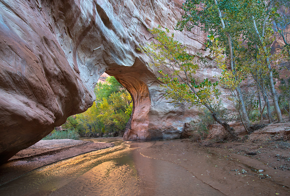 Natural Bridge (+ 2)
