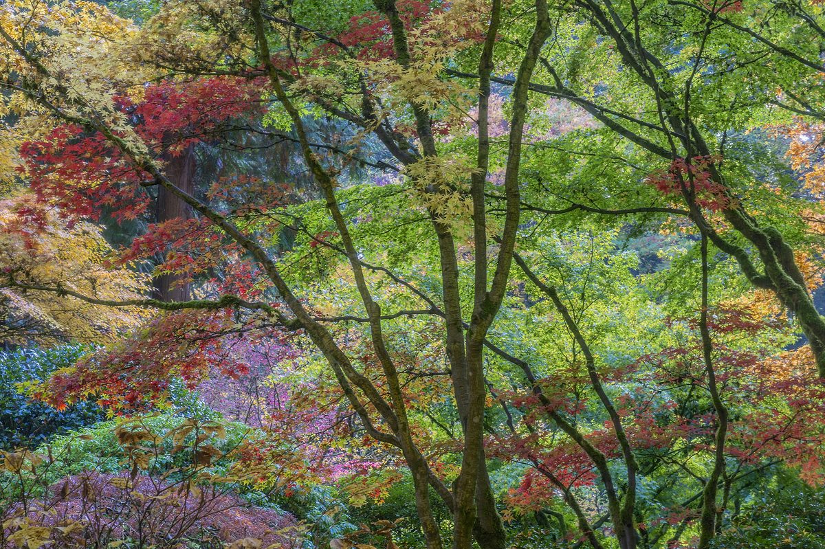 Fall Kaleidoscope