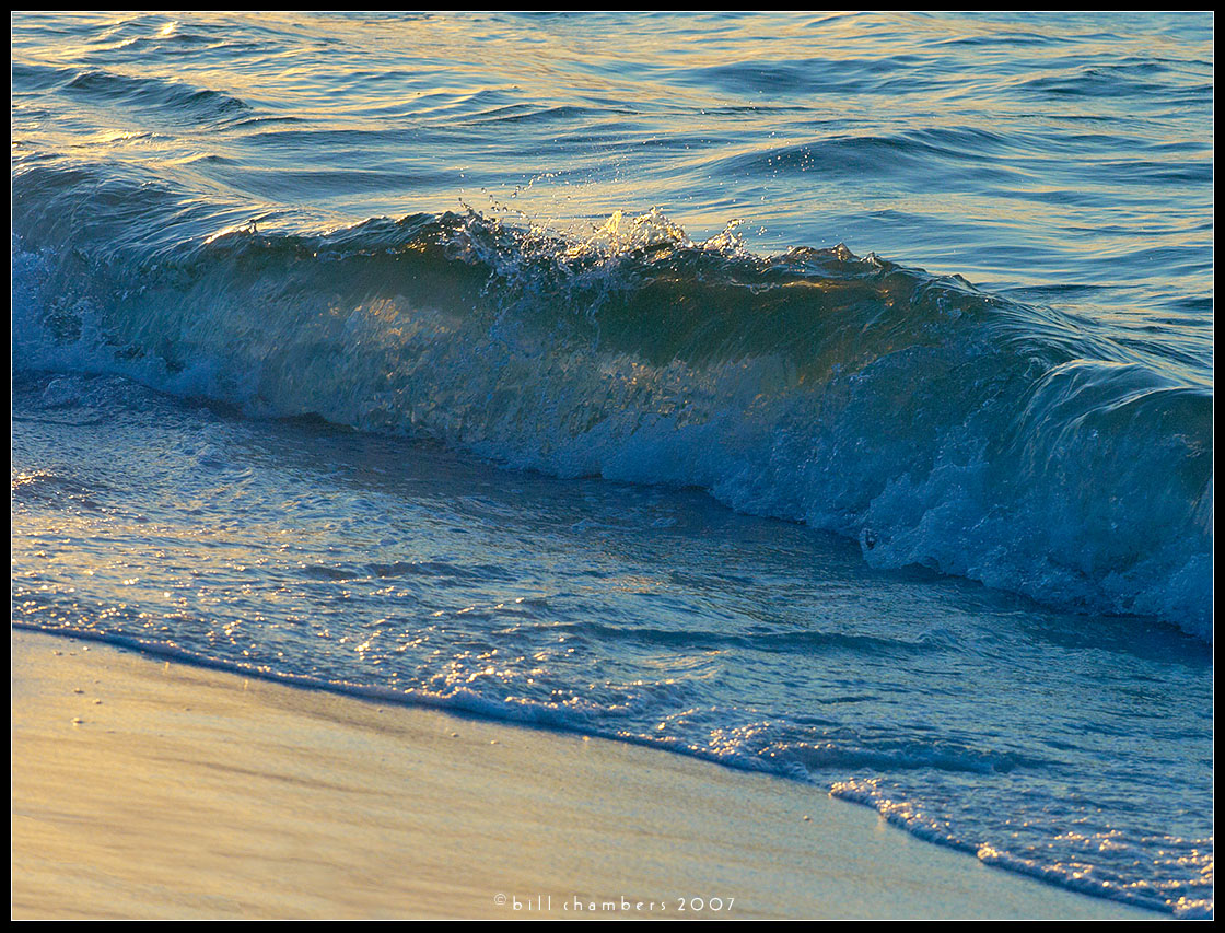Wavelet