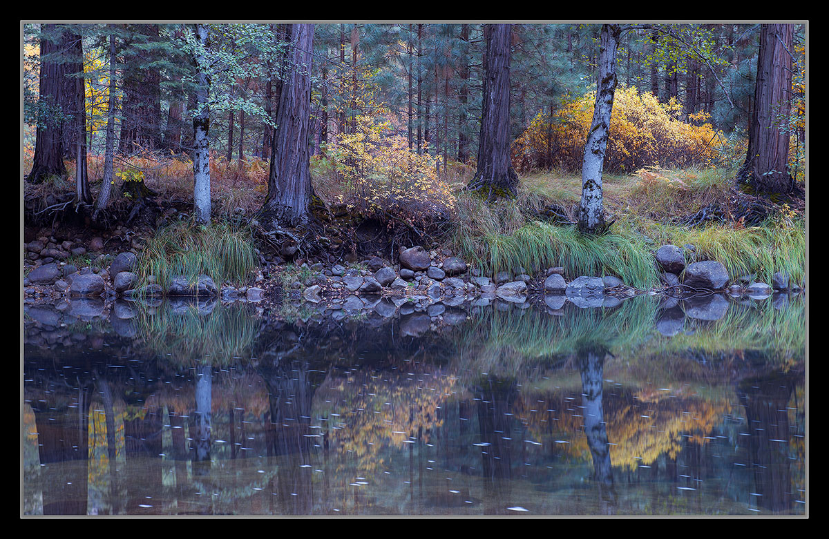  A Quiet Moment/ Edit