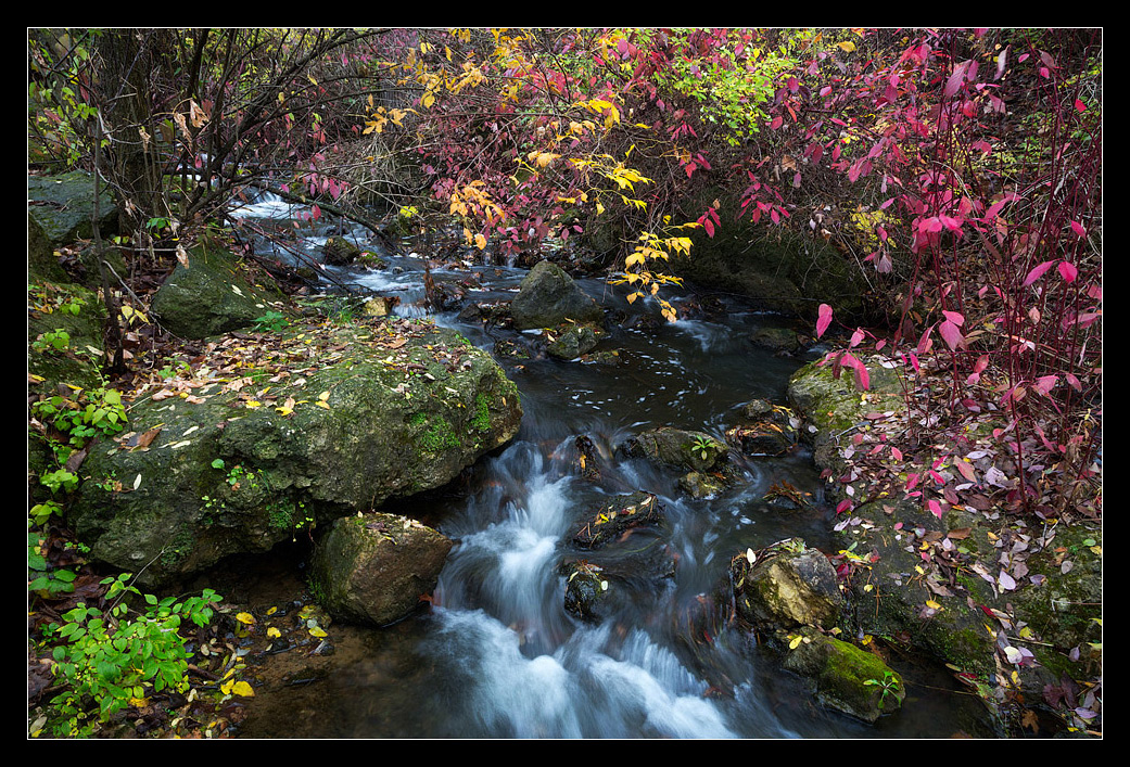 Quiet Stream