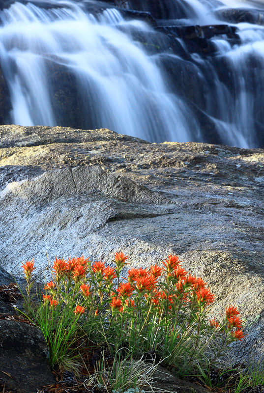 Paintbrush Falls