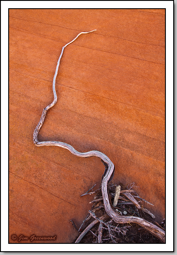 Sticks on Stone