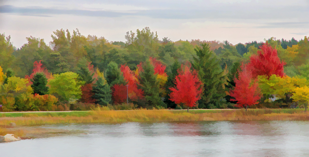 Autumn Trees by the Lake.
