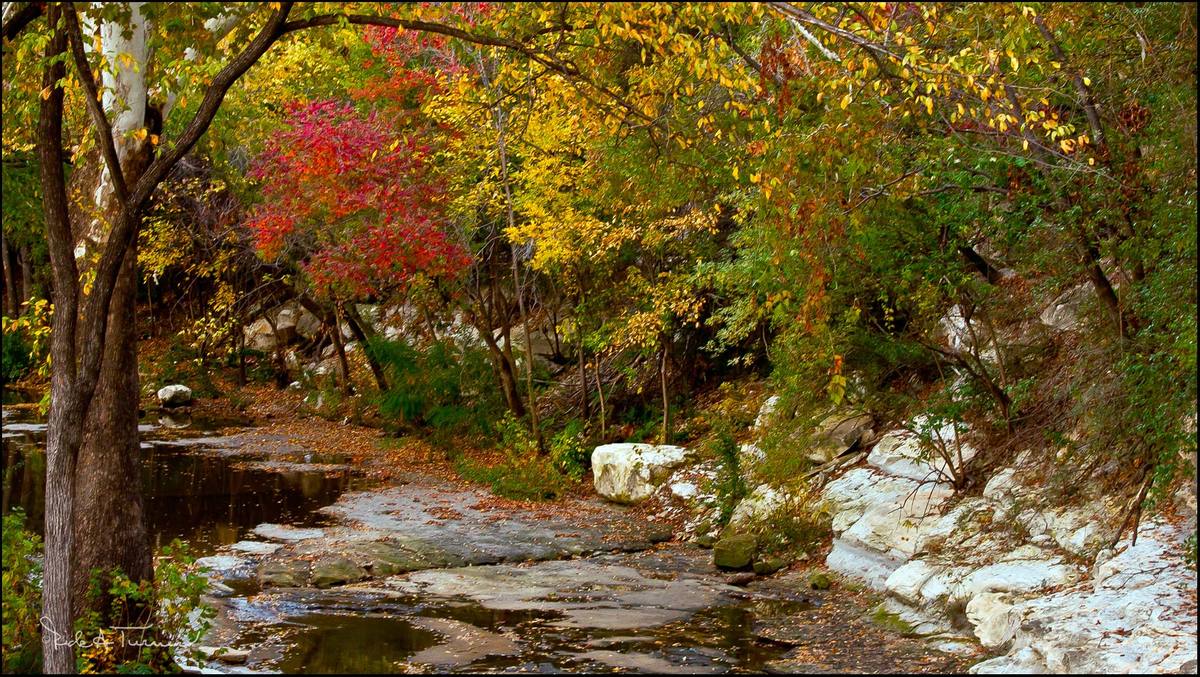 The Turtle Creek Fall