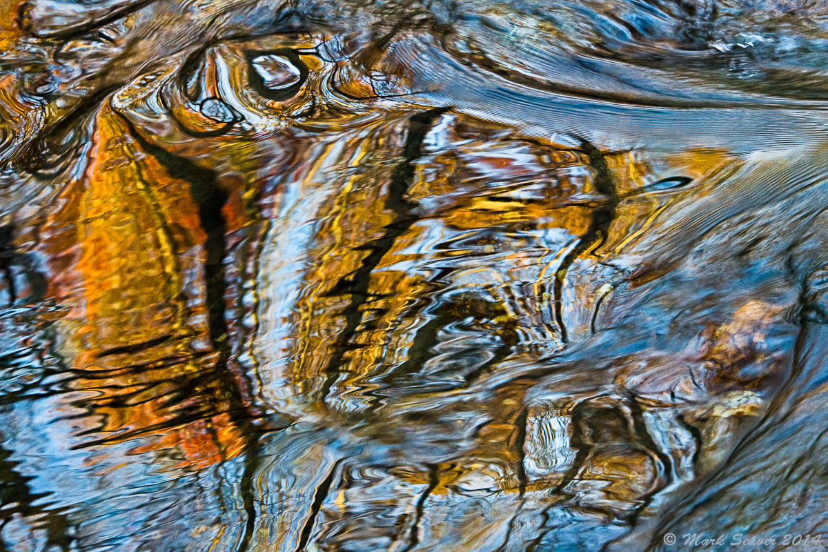 Rapids Creature #1