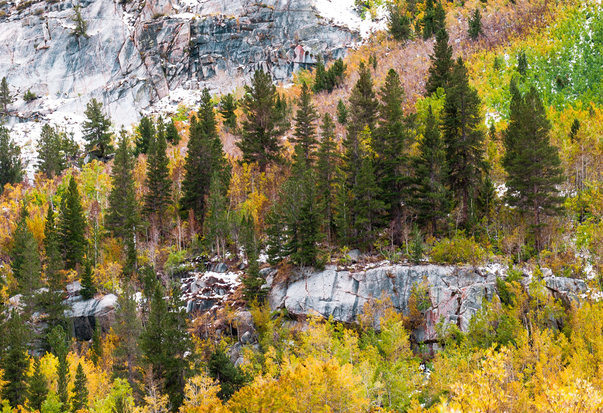 Eastern Sierra Fall +Repost