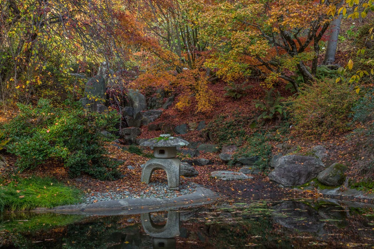 Berkeley Fall