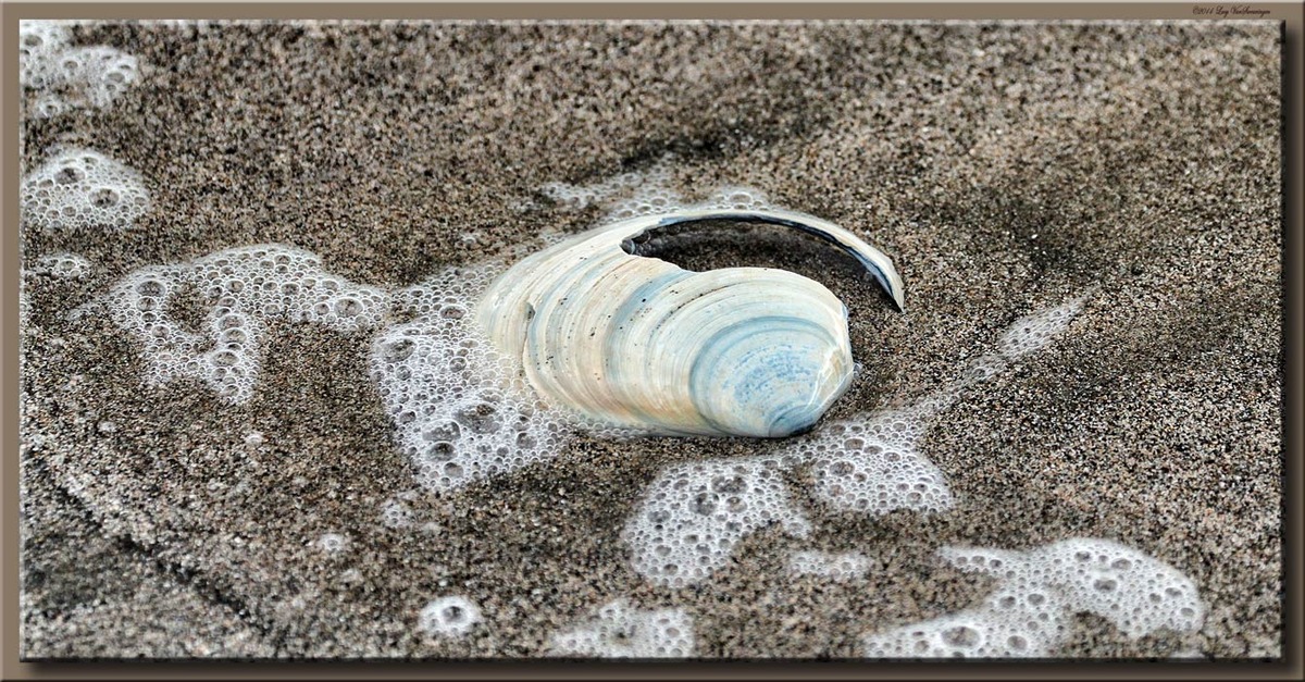 Swash Bubbles