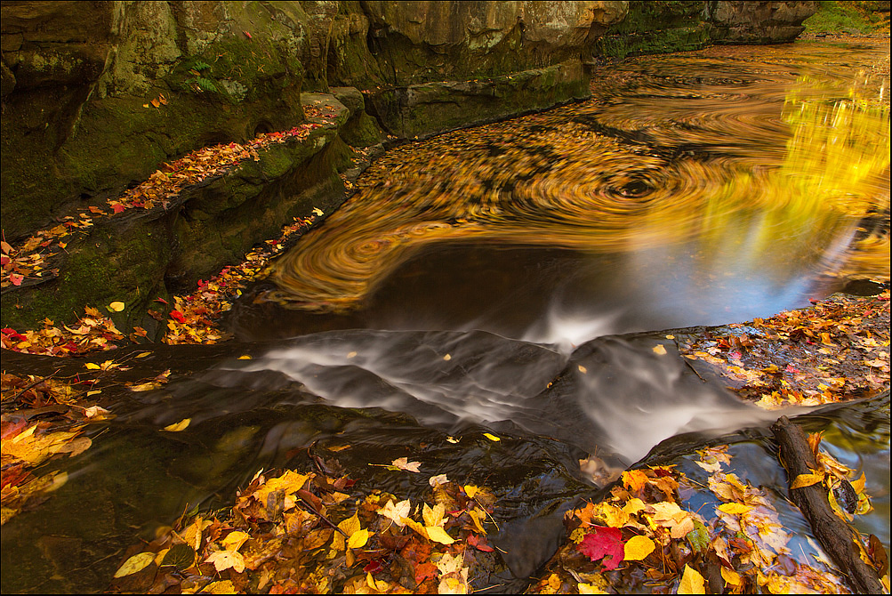 Falling Leaves + falls