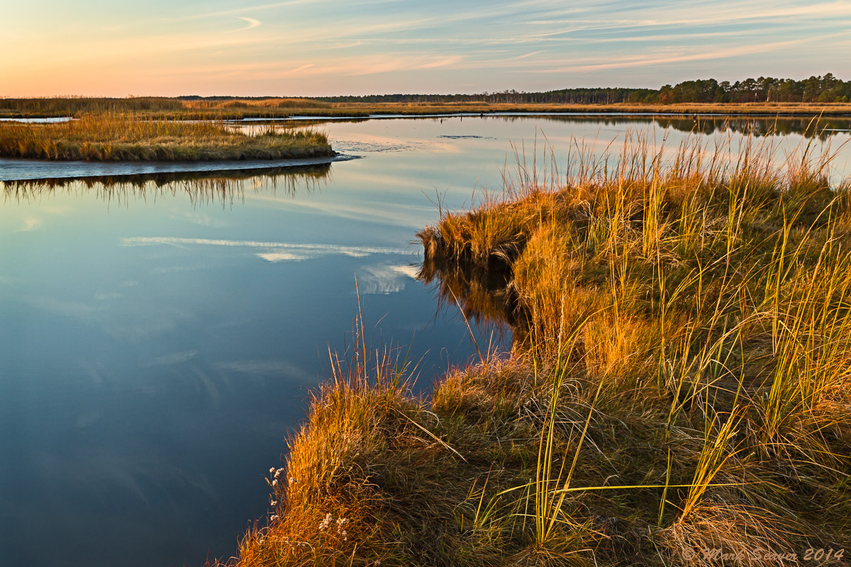Across the Marsh