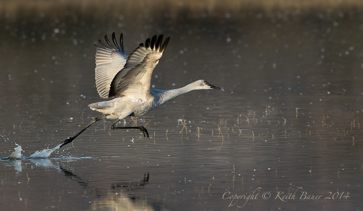 Lift Off